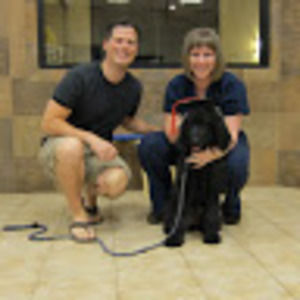 Meet your Posher, Maggie